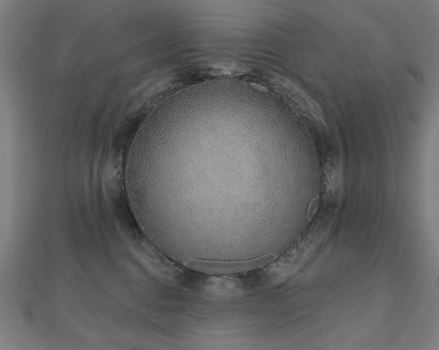 X0000112520376200908171400