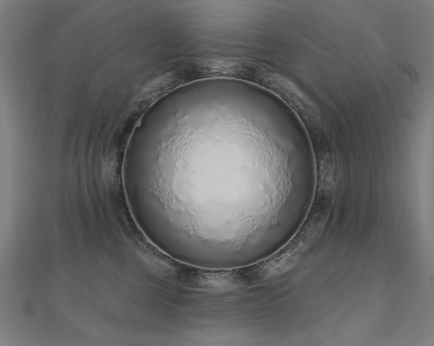 X0000112520377200908171400
