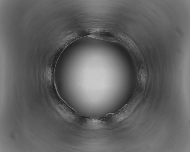 X0000112520380200908171400