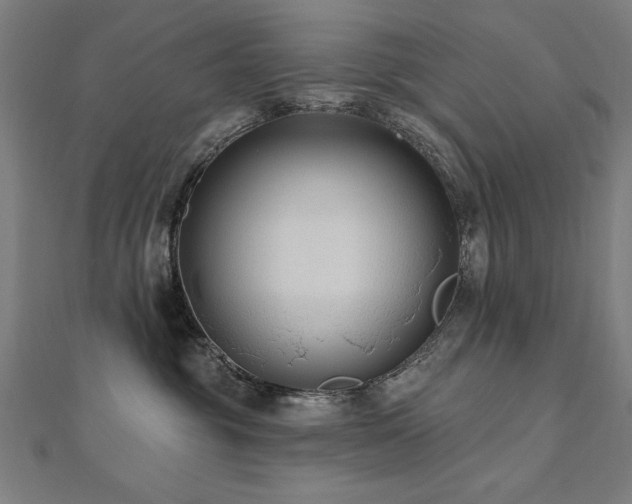 X0000112520381200908171400