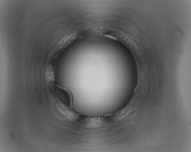 X0000112520384200908171400