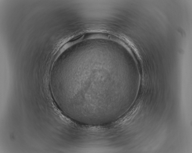 X0000112520385200908171359