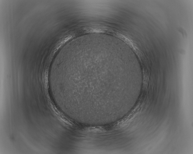 X0000112520386200908171359