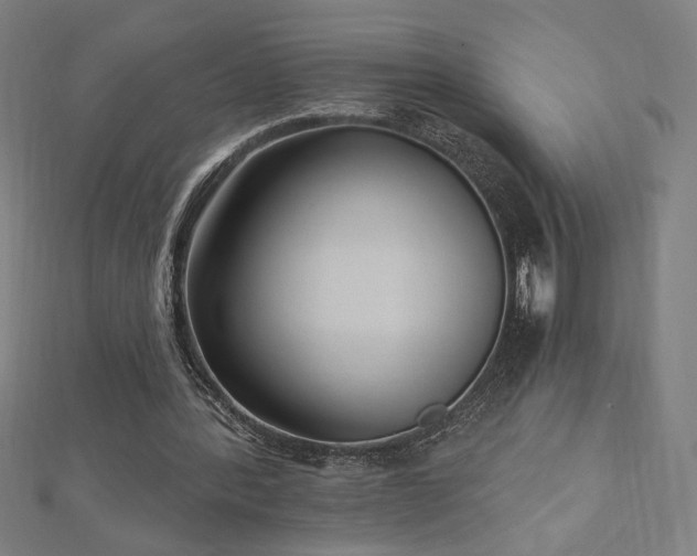 X0000112520388200908171359