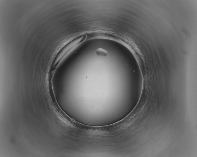 X0000112520389200908171359