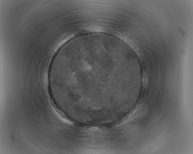 X0000112520390200908171359