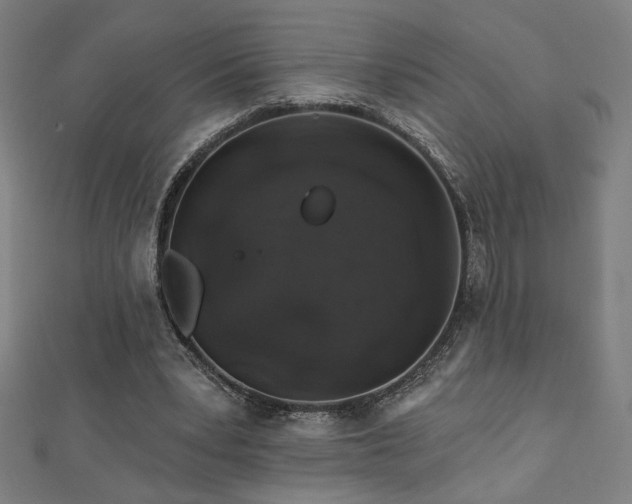 X0000112520391200908171359