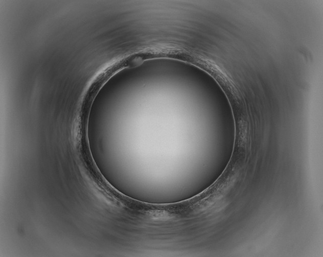 X0000112520392200908171359