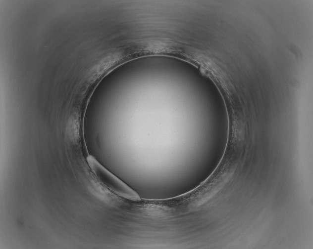 X0000112520393200908171359