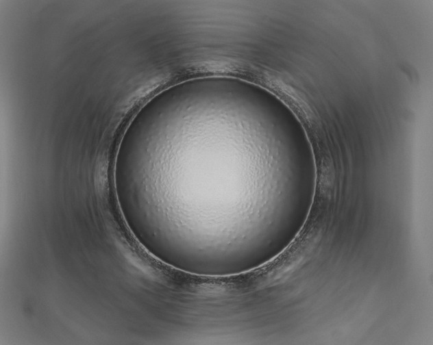 X0000112520394200908171359