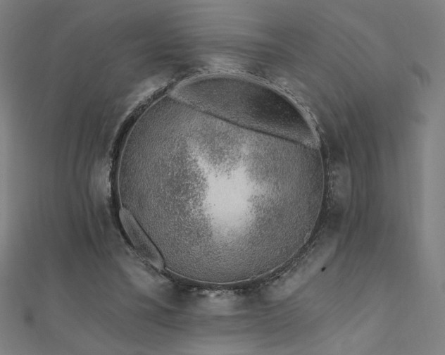 X0000112520395200908171359