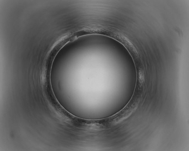 X0000112520396200908171359