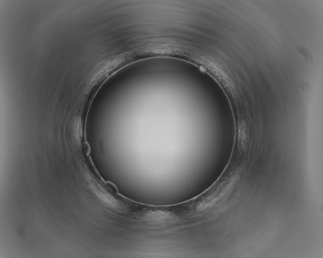 X0000112520397200908171359