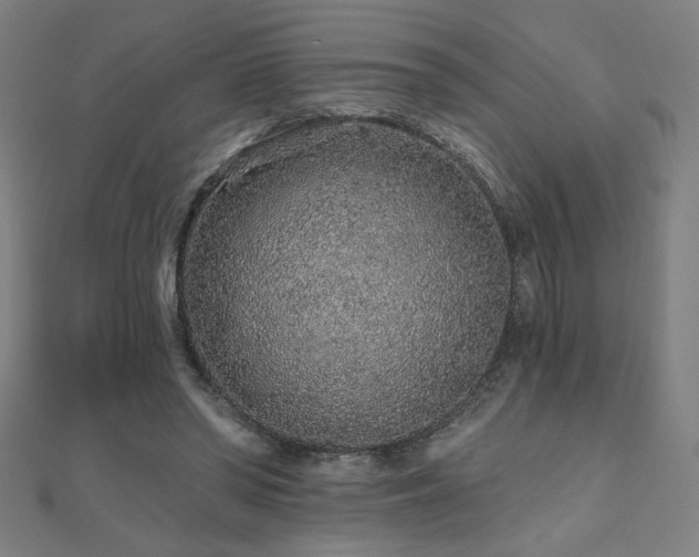 X0000112520398200908171359