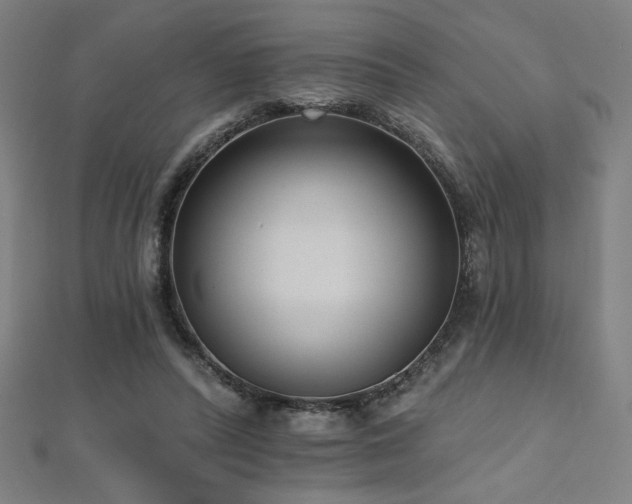 X0000112520400200908171359