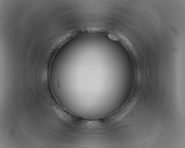 X0000112520401200908171359