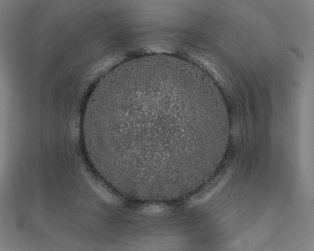 X0000112520402200908171359