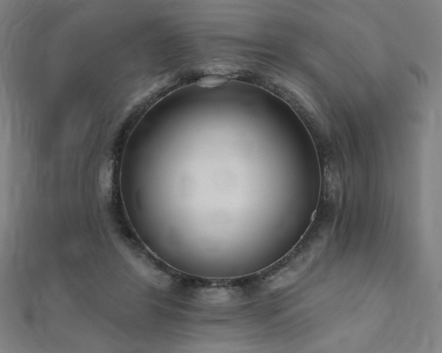 X0000112520404200908171359