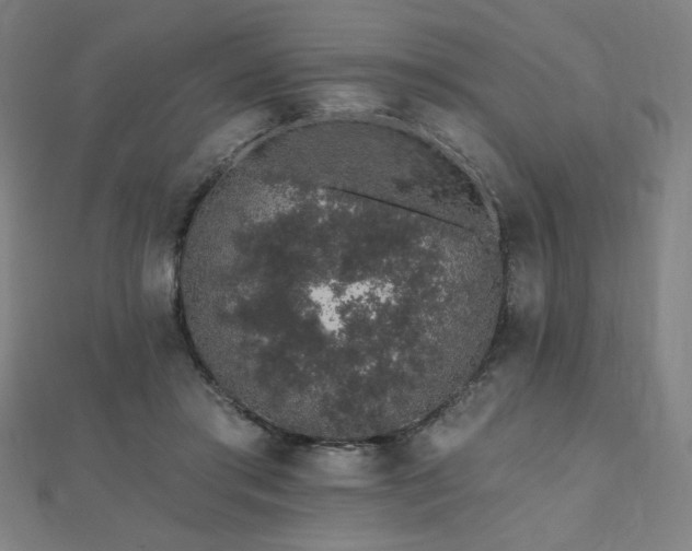 X0000112520405200908171359