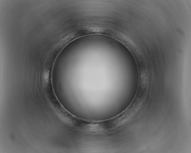 X0000112520406200908171359