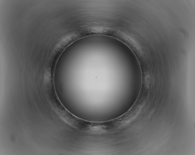 X0000112520407200908171359