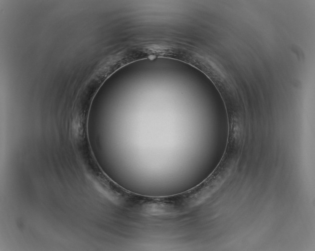 X0000112520408200908171359