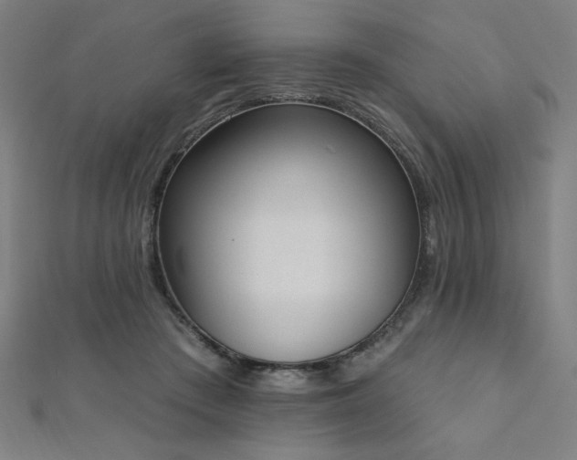 X0000112520409200908171359