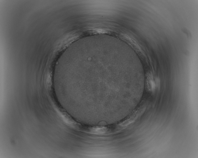 X0000112520410200908171359