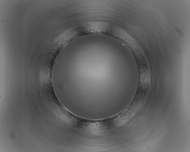 X0000112520411200908171359