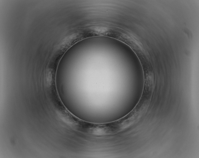 X0000112520412200908171359