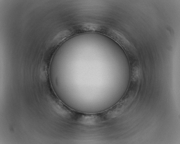 X0000112520414200908171359