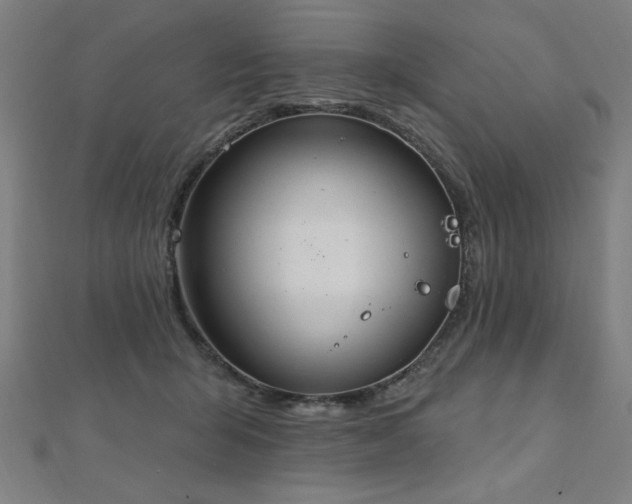 X0000112520415200908171359