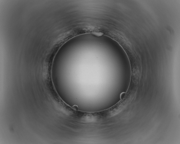 X0000112520416200908171359