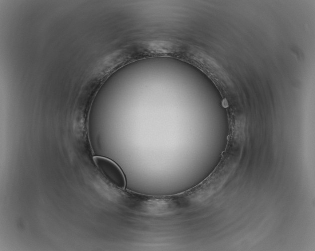 X0000112520418200908171359