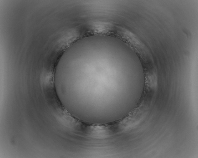 X0000112520419200908171359