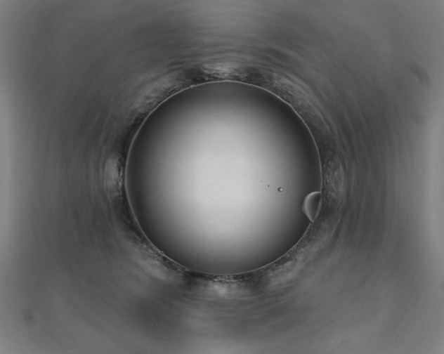 X0000112520420200908171359