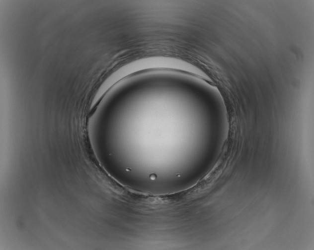X0000112520421200908171359