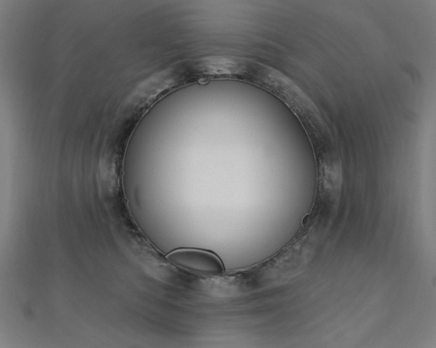 X0000112520422200908171358