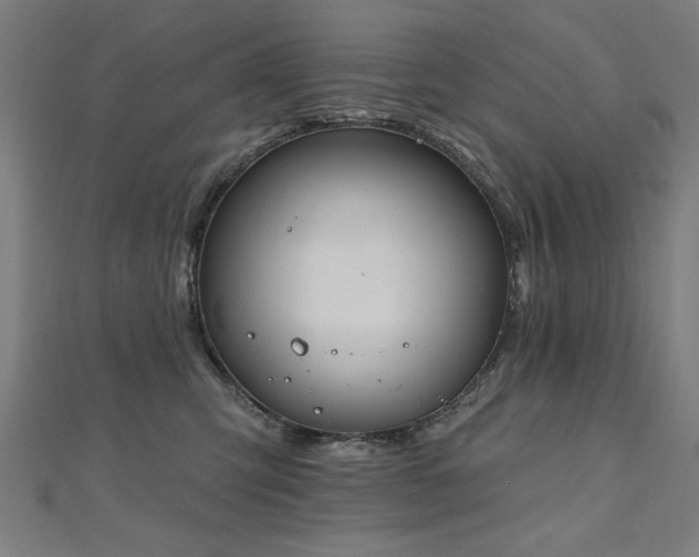 X0000112520423200908171358