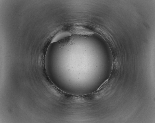 X0000112520424200908171358