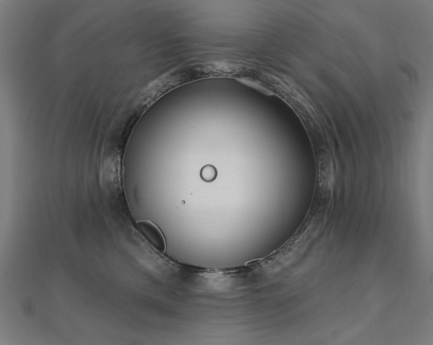 X0000112520425200908171358