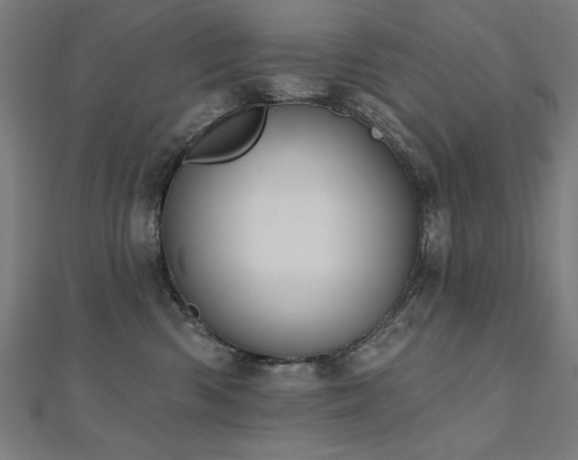 X0000112520426200908171358
