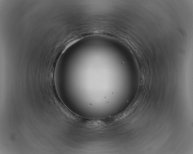 X0000112520427200908171358