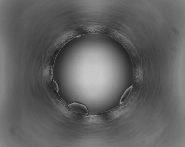 X0000112520428200908171358
