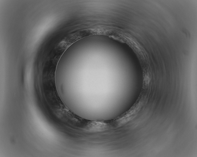 X0000112520429200908171358