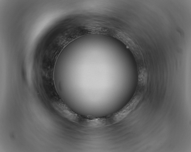 X0000112520430200908171358