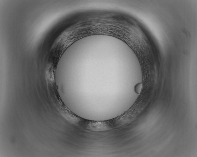 X0000112520431200908171358