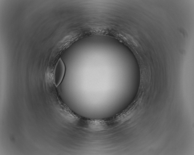 X0000112520432200908171358
