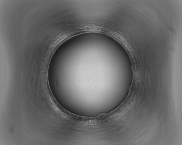 X0000112520433200908171358