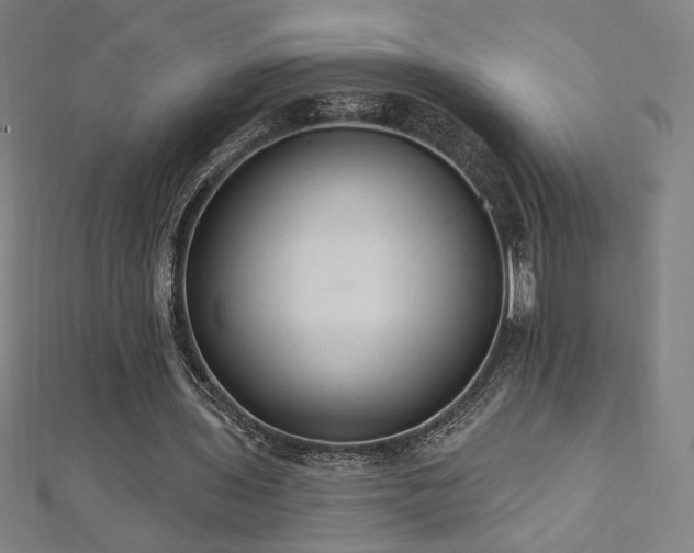 X0000112520435200908171358